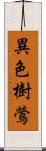 異色樹鶯 Scroll