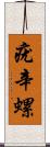 疣辛螺 Scroll