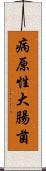 病原性大腸菌 Scroll