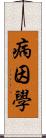 病因學 Scroll