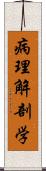 病理解剖学 Scroll