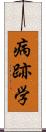 病跡学 Scroll