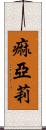 痲亞莉 Scroll