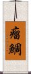 瘤鯛 Scroll