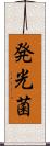 発光菌 Scroll