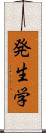 発生学 Scroll