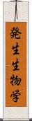 発生生物学 Scroll