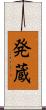 発蔵 Scroll