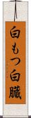 白もつ Scroll