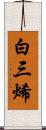 白三烯 Scroll