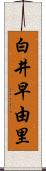 白井早由里 Scroll