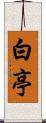 白亭 Scroll