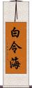 白令海 Scroll