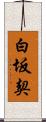 白坂契 Scroll