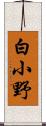 白小野 Scroll