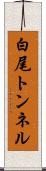 白尾トンネル Scroll