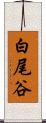 白尾谷 Scroll