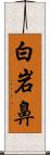 白岩鼻 Scroll