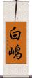 白嶋 Scroll