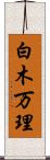 白木万理 Scroll