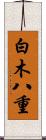 白木八重 Scroll