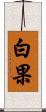 白果 Scroll