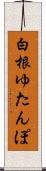 白根ゆたんぽ Scroll