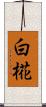 白椛 Scroll
