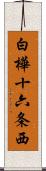 白樺十六条西 Scroll