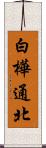 白樺通北 Scroll