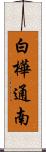 白樺通南 Scroll