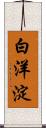 白洋淀 Scroll