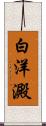 白洋澱 Scroll