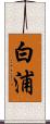 白浦 Scroll