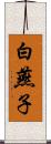 白燕子 Scroll