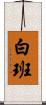 白班 Scroll