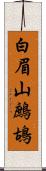 白眉山鷓鴣 Scroll