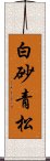 白砂青松 Scroll