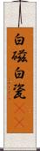 白磁 Scroll