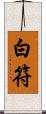 白符 Scroll
