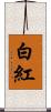 白紅 Scroll