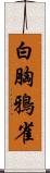 白胸鴉雀 Scroll