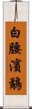 白腰濱鷸 Scroll