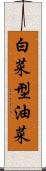 白菜型油菜 Scroll