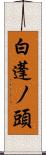 白蓬ノ頭 Scroll