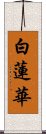 白蓮華 Scroll