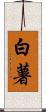 白薯 Scroll