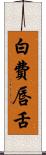 白費唇舌 Scroll