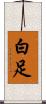 白足 Scroll