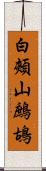 白頰山鷓鴣 Scroll